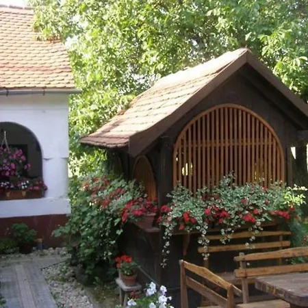 Daire Multidezo Porta - Nepi Muemlek Hazak Az Orsegben