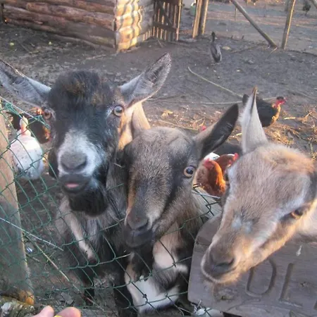 Multidezo Porta - Nepi Muemlek Hazak Az Orsegben * Szalafő