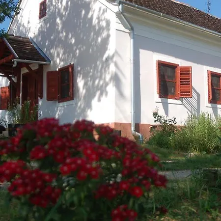 Multidezo Porta - Nepi Muemlek Hazak Az Orsegben Daire *