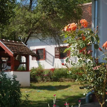 Lägenhet Multidezo Porta - Nepi Muemlek Hazak Az Orsegben