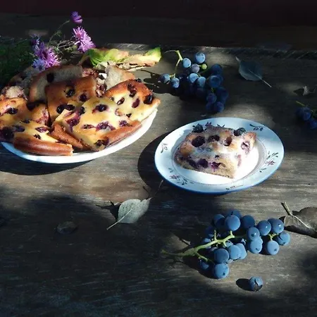 Multidezo Porta - Nepi Muemlek Hazak Az Orsegben Lägenhet Szalafő