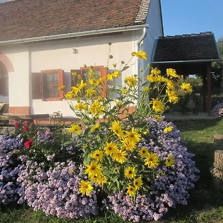 Lägenhet Multidezo Porta - Nepi Muemlek Hazak Az Orsegben Szalafő