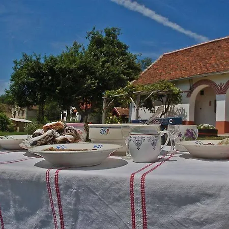 Multidezo Porta - Nepi Muemlek Hazak Az Orsegben * Szalafő